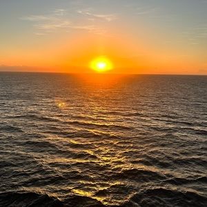 Posting for live show